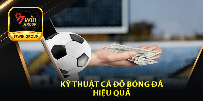 Kỹ Thuật Cá Độ Bóng Đá Hiệu Quả