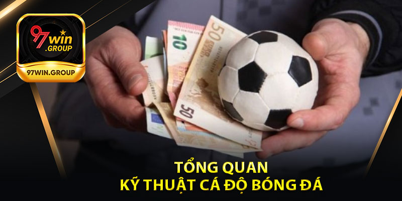 Tổng Quan Về Kỹ Thuật Cá Độ Bóng Đá